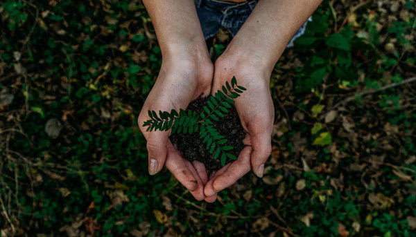 5 Sustainable New Year’s Resolutions For 2021