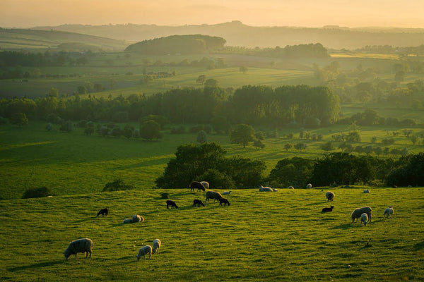 7 reasons you should consider a staycation for your next holiday