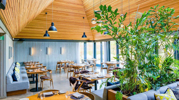UK Best Restaurants: 7 TentBox Favourites