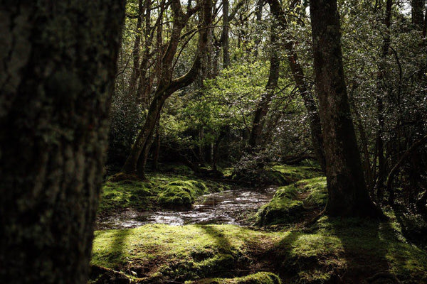 Best UK staycation destinations to take your TentBox