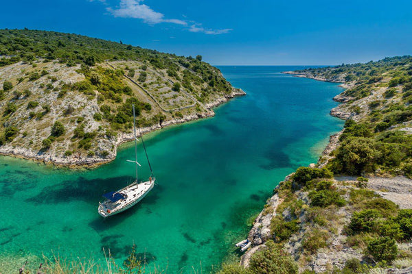 Camping With Wild Wolves In Croatia