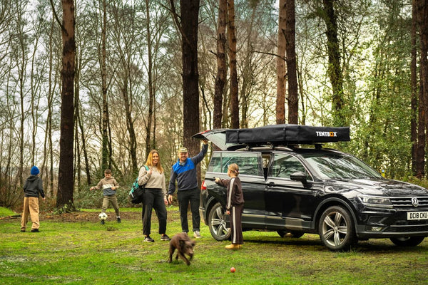 The best trips are closer to home