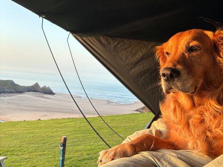 “I don’t have to wait for someone to go with”: Lisa’s TentBox Lite XL story