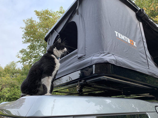 TentBox Classic perfect for child-friendly camping