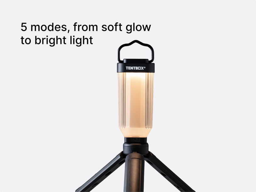 Mini Tripod Light
