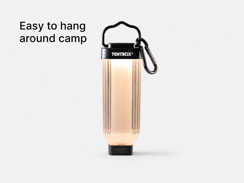 Mini Tripod Light