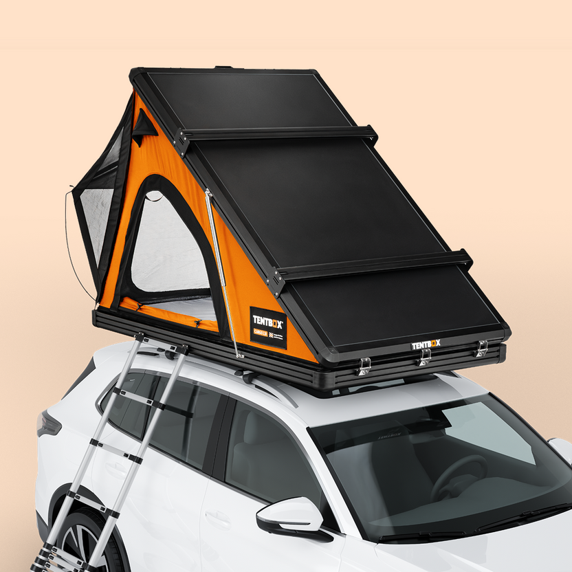 Test - product with model options