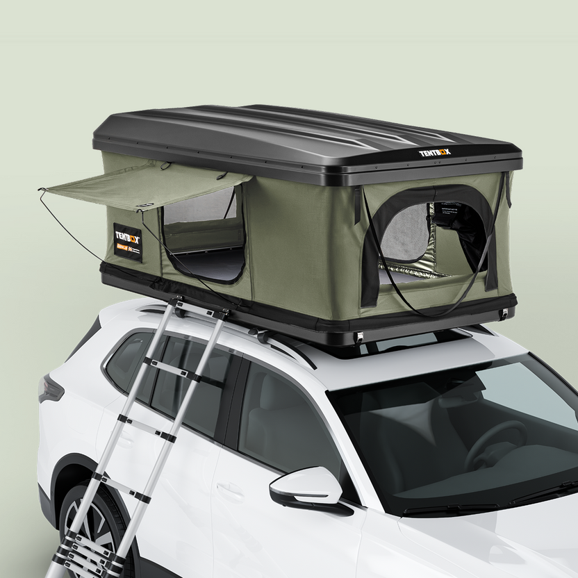 Test - product with model options