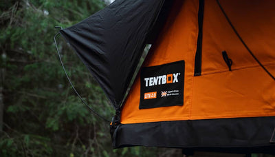 TentBox Lite made with quality materials, in wooded camp site